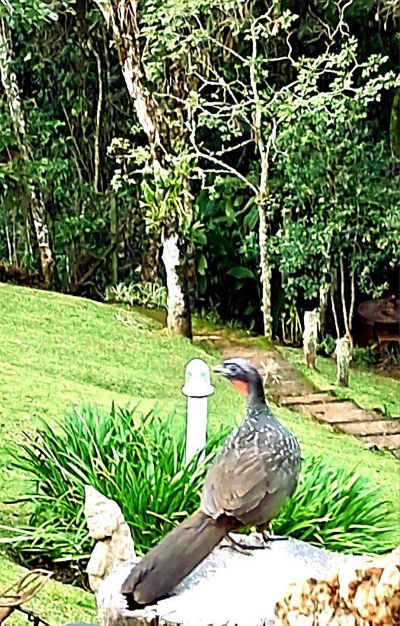 Apartmán Morada Rancho Da Lua Monte Verde  Pokoj fotografie